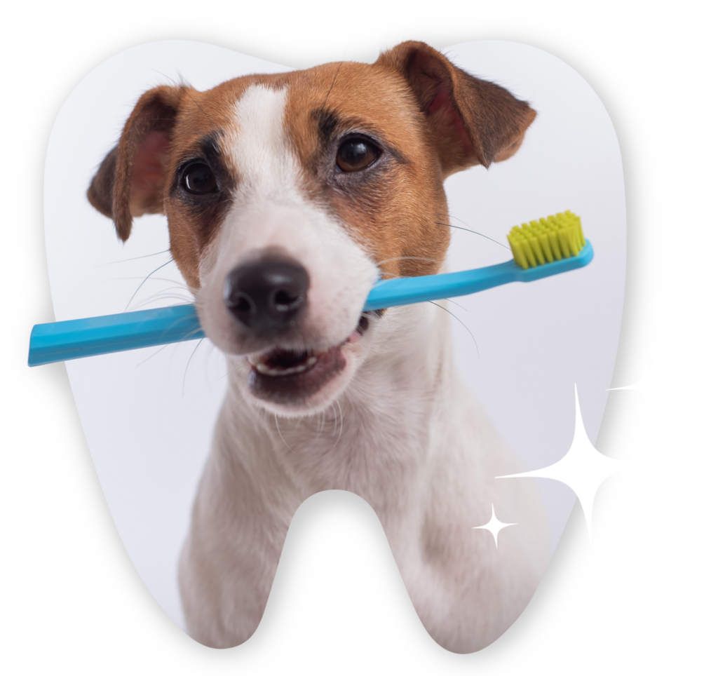 dog-with-toothbrush